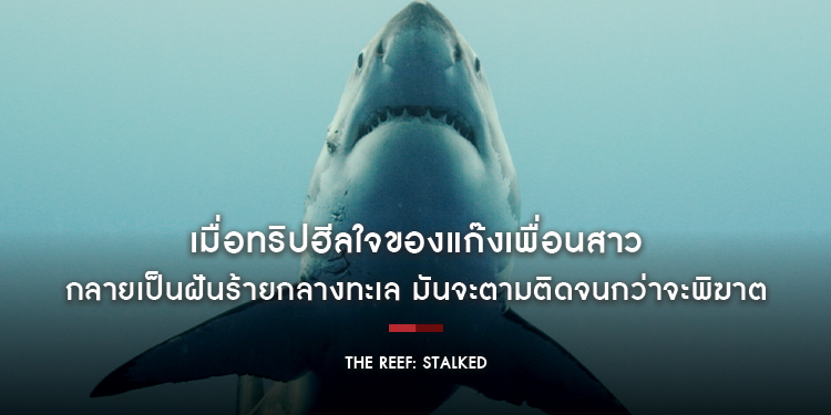 เมื่อทริปฮีลใจของแก๊งเพื่อนสาว กลายเป็นฝันร้ายกลางทะเล มันจะตามติดจนกว่าจะพิฆาตใน “The Reef: Stalked ครีบพิฆาต”